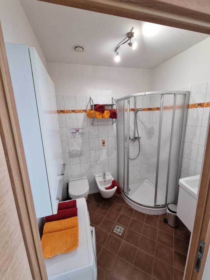 Appartement Mayr 帕尔奇内斯 外观 照片